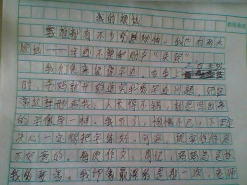 了不起的我作文600字初中