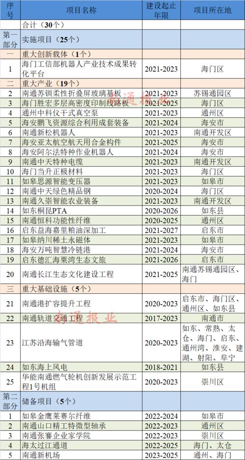 发改关于两高项目梳理情况报告