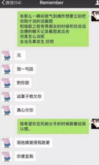 王记得管泽元聊天记录