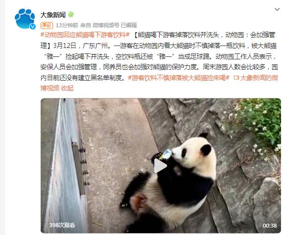游客饮料不慎掉落被大熊猫捡来喝 动物园最新回应