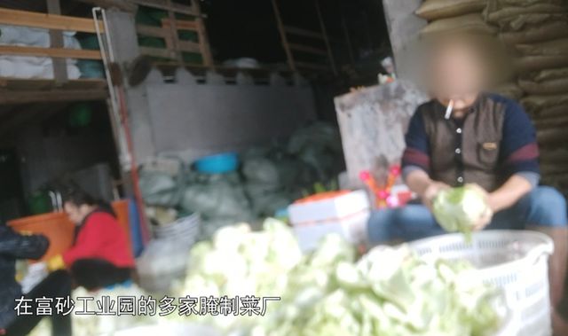 汕头腌制厂工人用脚踩菜、芥菜泡污水扔路边 记者暗访“潮汕腌制菜”生产乱象