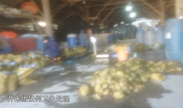 汕头腌制厂工人用脚踩菜、芥菜泡污水扔路边 记者暗访“潮汕腌制菜”生产乱象