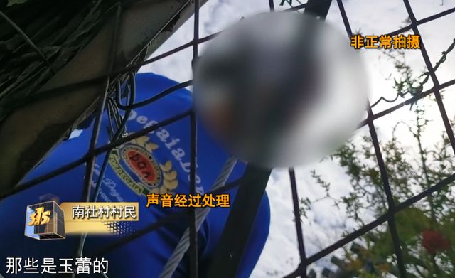 汕头腌制厂工人用脚踩菜、芥菜泡污水扔路边 记者暗访“潮汕腌制菜”生产乱象