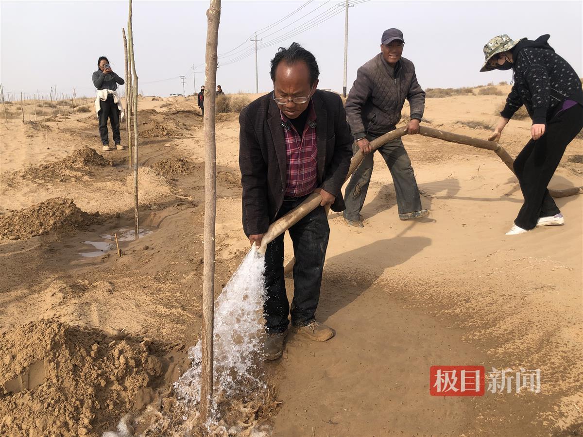 跪地求水孙国友买水浇树 孙国友真实情况怎么样了