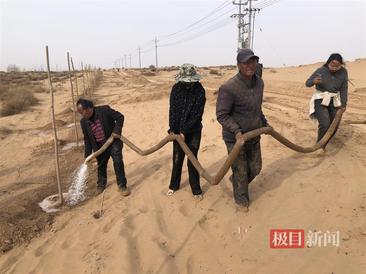 跪地求水孙国友买水浇树 孙国友真实情况怎么样了