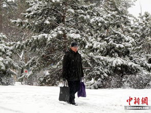 东北大暴雪又来了_东北军真正对日作战兵力有多少？