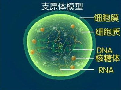 肺炎支原体感染下降流感上升_从北到南呼吸道疾病防治迎考验，肺炎支原体已下降流感正上升