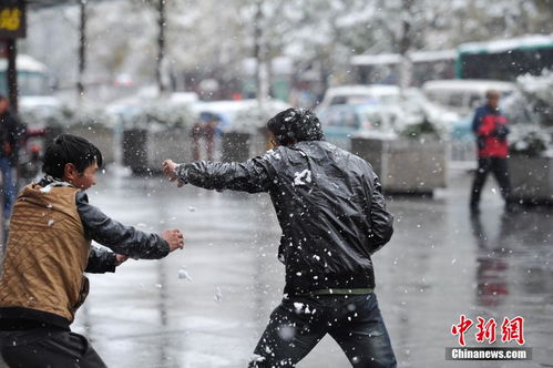 郑州降雪市民凌晨出门街头打雪仗_郑州初雪平稳度过，有同学打雪仗兴奋到丢手机，下一轮强降雪明天又要来了