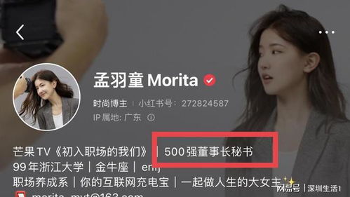 孟羽童个人简介是前500强董事长秘书_孟羽童个人简介是“前500强董事长秘书”，董明珠怒斥其“借平台当网红”引关注