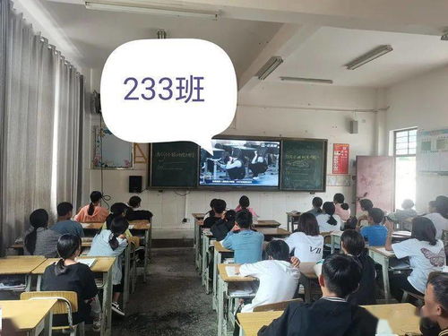 连续工作62年资助37000余名学生_巴南区“民生保障”发布活动在花溪街道举行