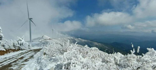 黑龙江雾气缭绕下的冰雪森林_黑龙江黑河：库尔滨河畔冬日仙境，玉树琼枝映冰晶