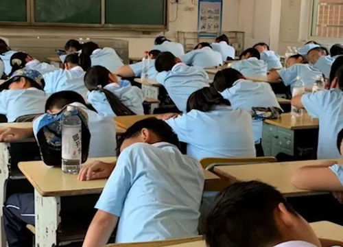 广西一中学学生趴桌午休收费260元_广西一中学学生趴桌上午休，每人每学期收费260元？教育局：会去核实了解