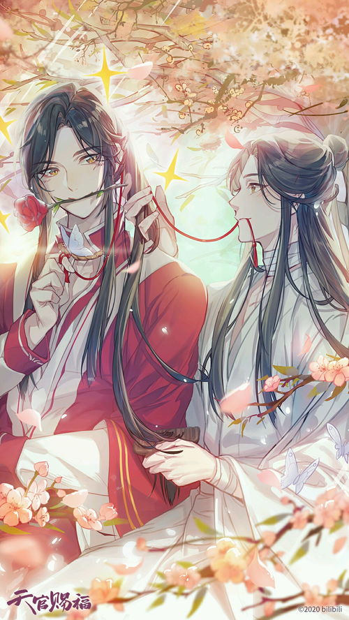 天官赐福 花怜_天官赐福 花怜