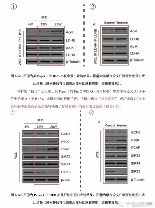 学生公开华中农大教授造假证据_“不配合造假就不让毕业”，华中农大教授学术造假，举报学生发声