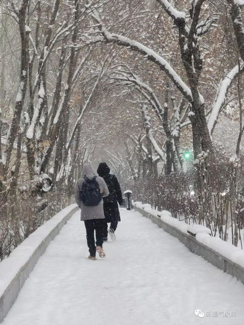 大风寒潮冰冻暴雪四预警齐发_寒潮、暴雪、冰冻、大风 中央气象台四预警齐发