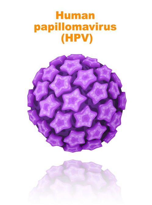 #HPV#有性生活的女性一定要知道！8条关于HPV的科普知识，一次说清