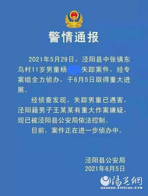 王某某被杀案嫌疑人为有预谋作案_河北邯郸肥乡区警方回应初一学生王某某被杀害案：犯罪嫌疑人为有预谋作案