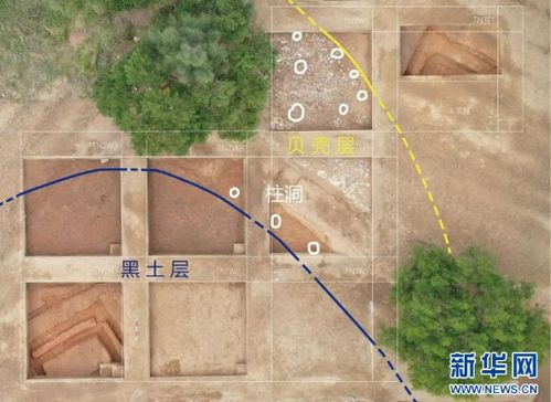 7000年前福建岛民的生活_如果文物会说话｜这个遗址群实证了7000多年前福建岛民的食谱有多丰富！