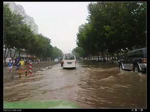 #郑州下雨#明天起，郑州连着4天都有雨、中到大雨！河南这些地方有暴雨