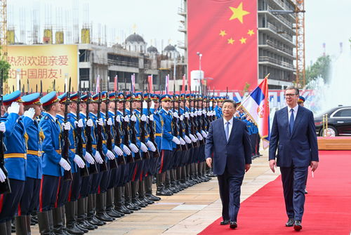 习近平同塞尔维亚总统武契奇举行会谈_新华社快讯｜习近平同塞尔维亚总统武契奇举行会谈