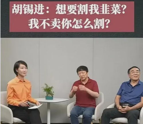 胡锡进加仓6万元_胡锡进炒股11个月，本金加仓到66万元，交了约4万元学费 | 大鱼财经