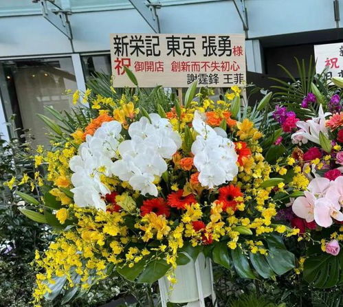 王菲给尹昉送了花篮_王菲给尹昉送花篮 并留言：“尹昉，棒棒哒”