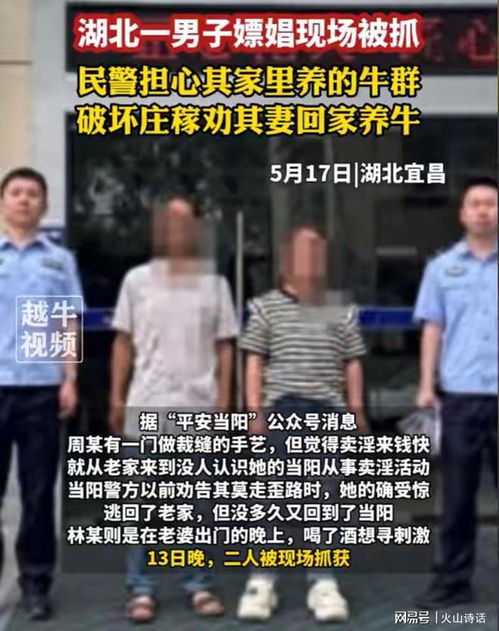 男子嫖娼被抓妻子选择原谅回家养牛_湖北一男子嫖娼被拘，家中40余头牛无人照顾，妻子选择原谅从外地返回养牛