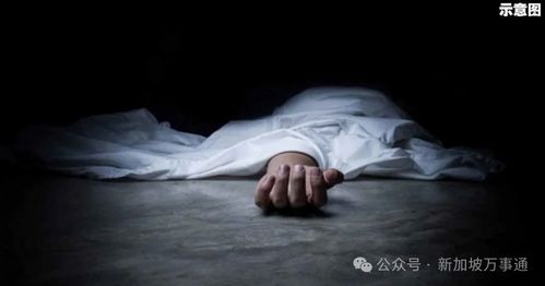 20岁女生留学新加坡坠亡_20岁宁波女生留学新加坡蹊跷坠亡，家属：离毕业不到10天，部分财物遗失