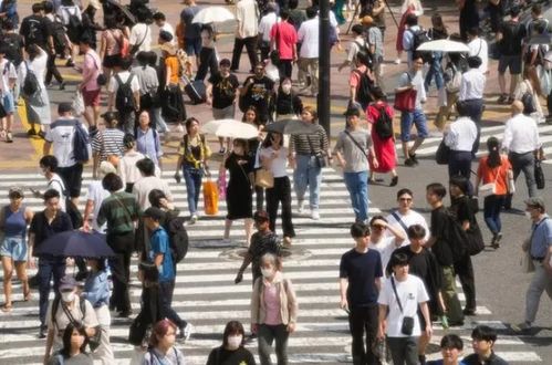 日本疯传的食人菌是什么_日本疯传的“食人菌”是什么？会进一步扩散吗？有钱没钱别去旅游