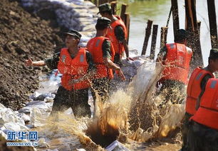 暴雨急流冲坏堤坝他们套上麻绳往下跳_急流冲垮坝脚 危急时刻他们套上麻绳往下跳