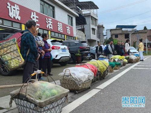 贵阳惠农专线架通城乡_贵州贵阳：“惠农专线” 暖心助农