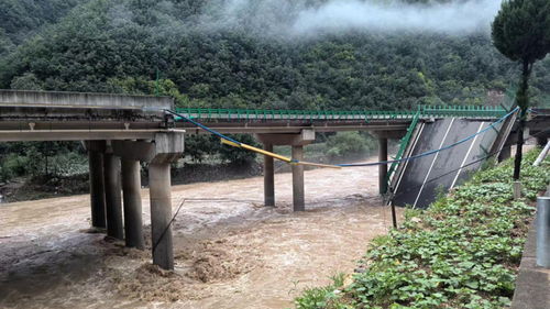 陕西桥梁垮塌已确认38人遇难_陕西丹宁高速水阳段公路桥梁垮塌搜寻和善后工作仍在进行 已确认38人遇难24人失联