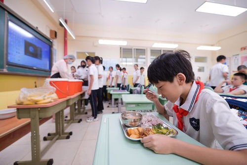 新学期北京中小学生不再吃盒饭_北京中小学生新学期不再吃盒饭，校领导须每天陪餐