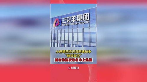 小杨哥回应近日网络纷争_闹大了，散打哥说辛巴爆料属实，曾志伟连夜撇清关系，小杨哥回应