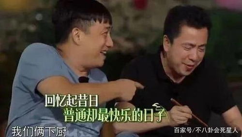 辛巴小杨哥曾称兄道弟_小杨哥曾称辛巴是自己老师：永远是学习的对象