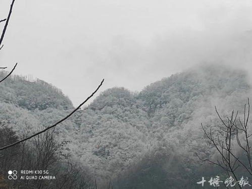 黑龙江伊春已经开始下雪了_伊春下雪了！较往年提早近30天