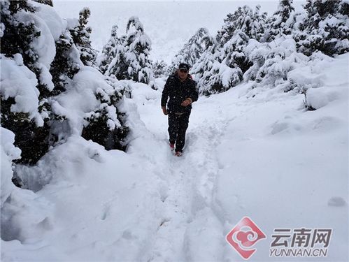 国庆第一天九寨沟飘起鹅毛大雪_国庆第一天九寨沟飘起鹅毛大雪