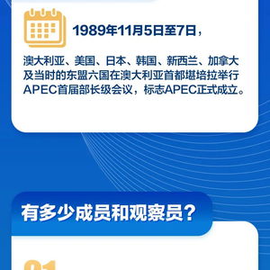 APEC为何如此重要_《APEC》为何如此重要