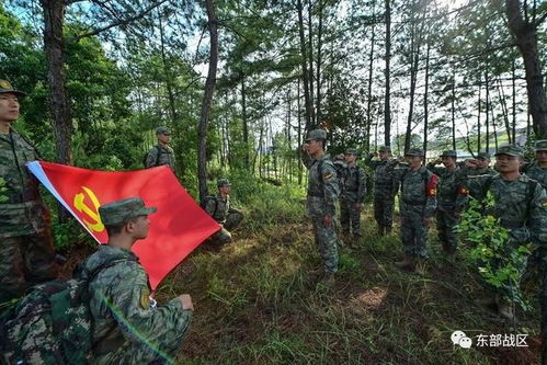 9个退伍老兵在沙漠种了1万多亩树_9位退伍老兵在沙漠种1万多亩树，200亩树苗一夜间全被风沙吹跑！