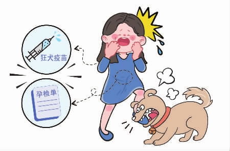 孕妇误踩宠物犬被咬后终止妊娠_孕妇误踩宠物犬被咬伤，终止妊娠后向饲养人索赔！法院：双方均有过失