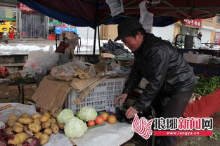 市民称鹤岗特大暴雪蔬菜没涨价_鹤岗特大暴雪后，市民：不少车埋在雪里，蔬菜水果没涨价，有的路已开始堵车