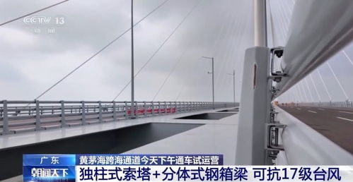 黄茅海跨海通道今日通车_全线亮灯！黄茅海跨海通道打造大湾区海上新地标