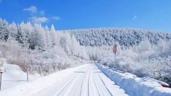 黑吉辽新疆河北成热门冰雪游目的地_冰雪之约 中国之邀｜中国冰雪的“出圈路”