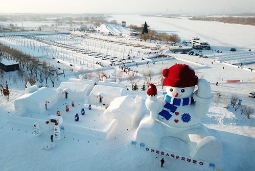 为冰雪赴一座城_哈尔滨冰雪大世界惊艳建造，冰城筑梦中的奇幻“生长”