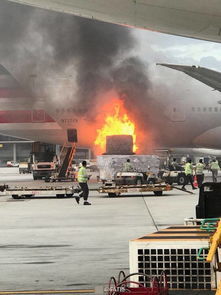 韩国起火客机已确认151人死亡_韩媒：韩国消防部门称，韩国客机碰撞起火事故已致151人死亡