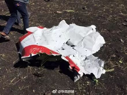 埃航坠毁现场图曝光!157人全部遇难！包括8名中国人