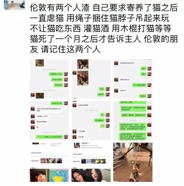 伦敦留学生情侣虐猫事件怎么回事？如何看待中国留学生虐猫致死事件！