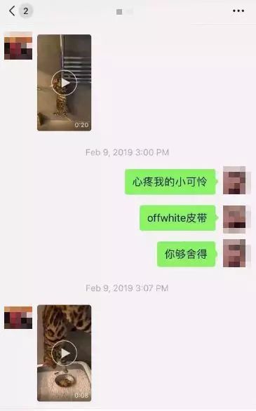 伦敦留学生情侣虐猫事件怎么回事？如何看待中国留学生虐猫致死事件！