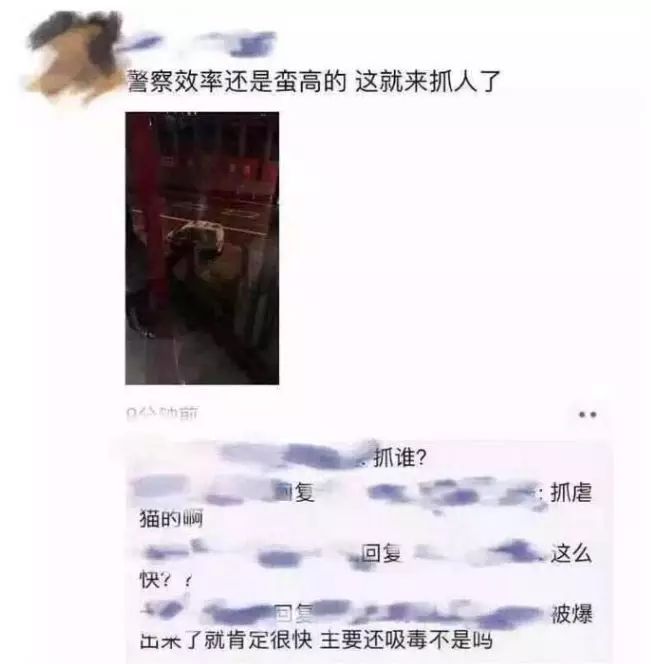 伦敦留学生情侣虐猫事件怎么回事？如何看待中国留学生虐猫致死事件！