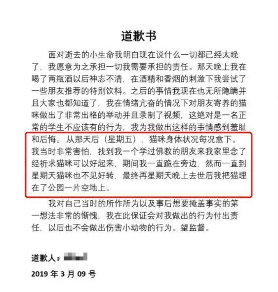 伦敦留学生情侣虐猫事件怎么回事？如何看待中国留学生虐猫致死事件！